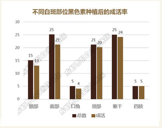 表皮移植术